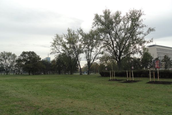 dsc061267F1CF20D-C08D-18C0-800B-15A51EC58086.jpg